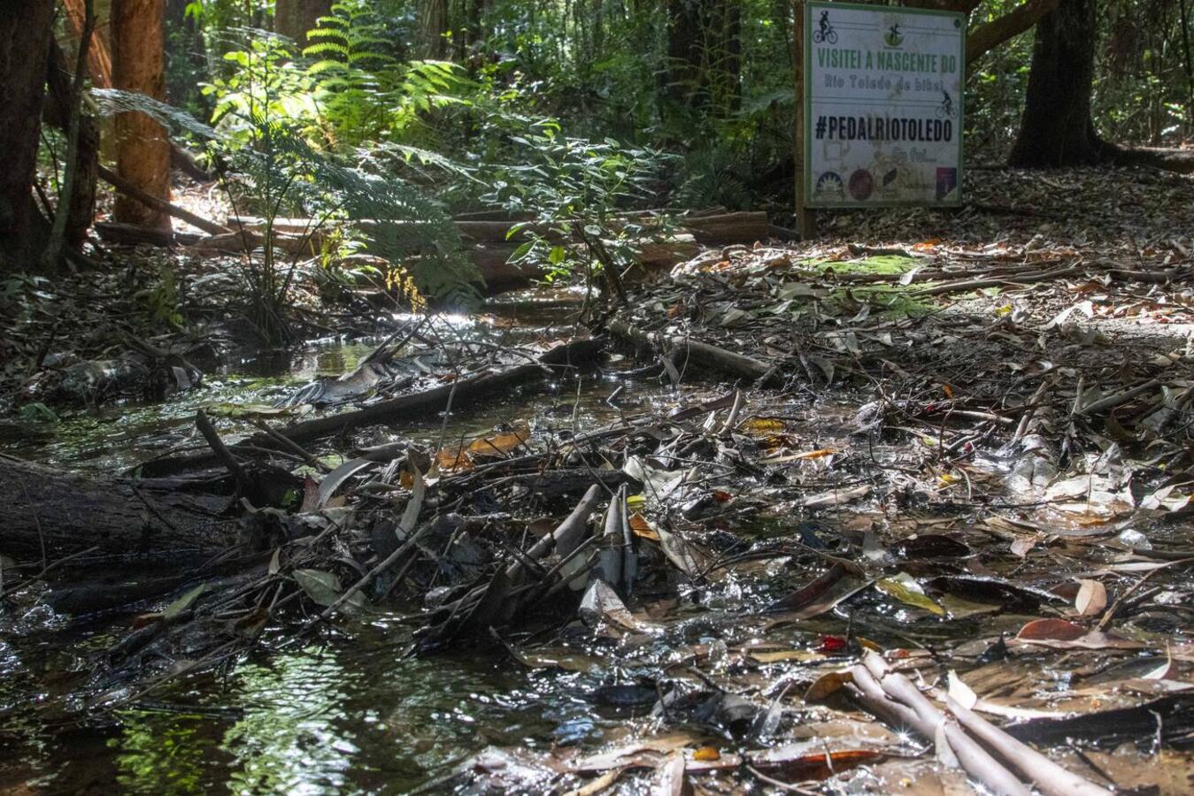 Na manhã desta sexta-feira (28) a Secretaria do Meio Ambiente realizou o enriquecimento da mata ciliar próxima a nascente do Rio Toledo, em alusão ao dia do rio
