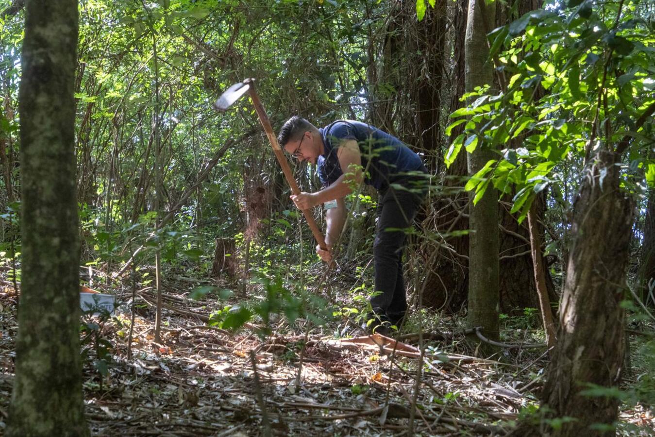 Na manhã desta sexta-feira (28) a Secretaria do Meio Ambiente realizou o enriquecimento da mata ciliar próxima a nascente do Rio Toledo, em alusão ao dia do rio