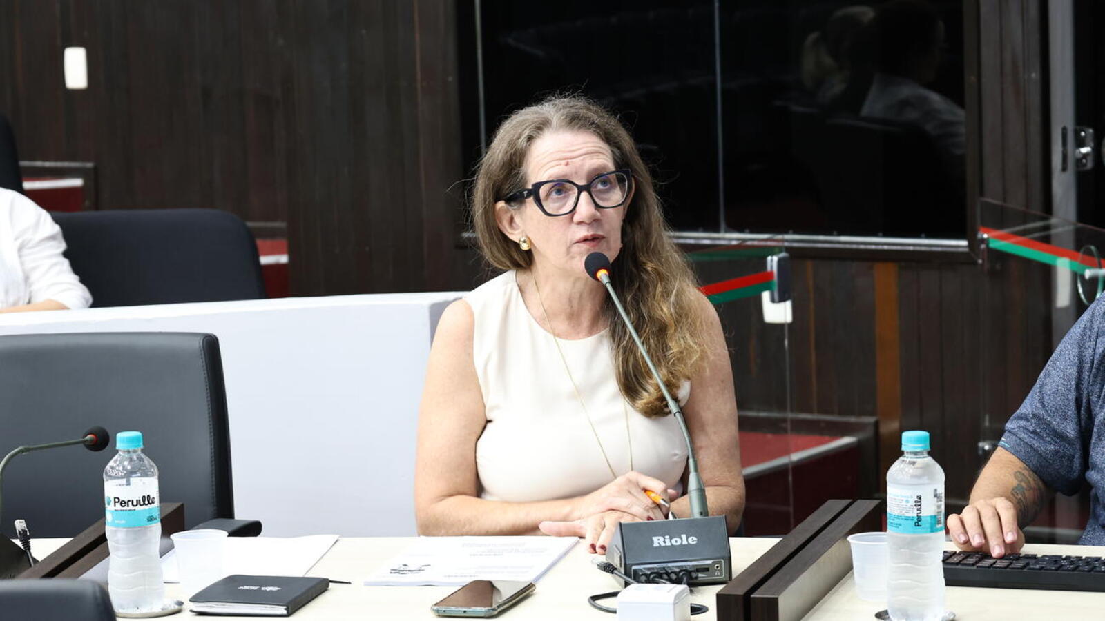 Audiência pública no Plenário do Legislativo Municipal, na manhã desta sexta (27),  destinou-se à apresentação de dados a respeito de ações e finanças da pasta
