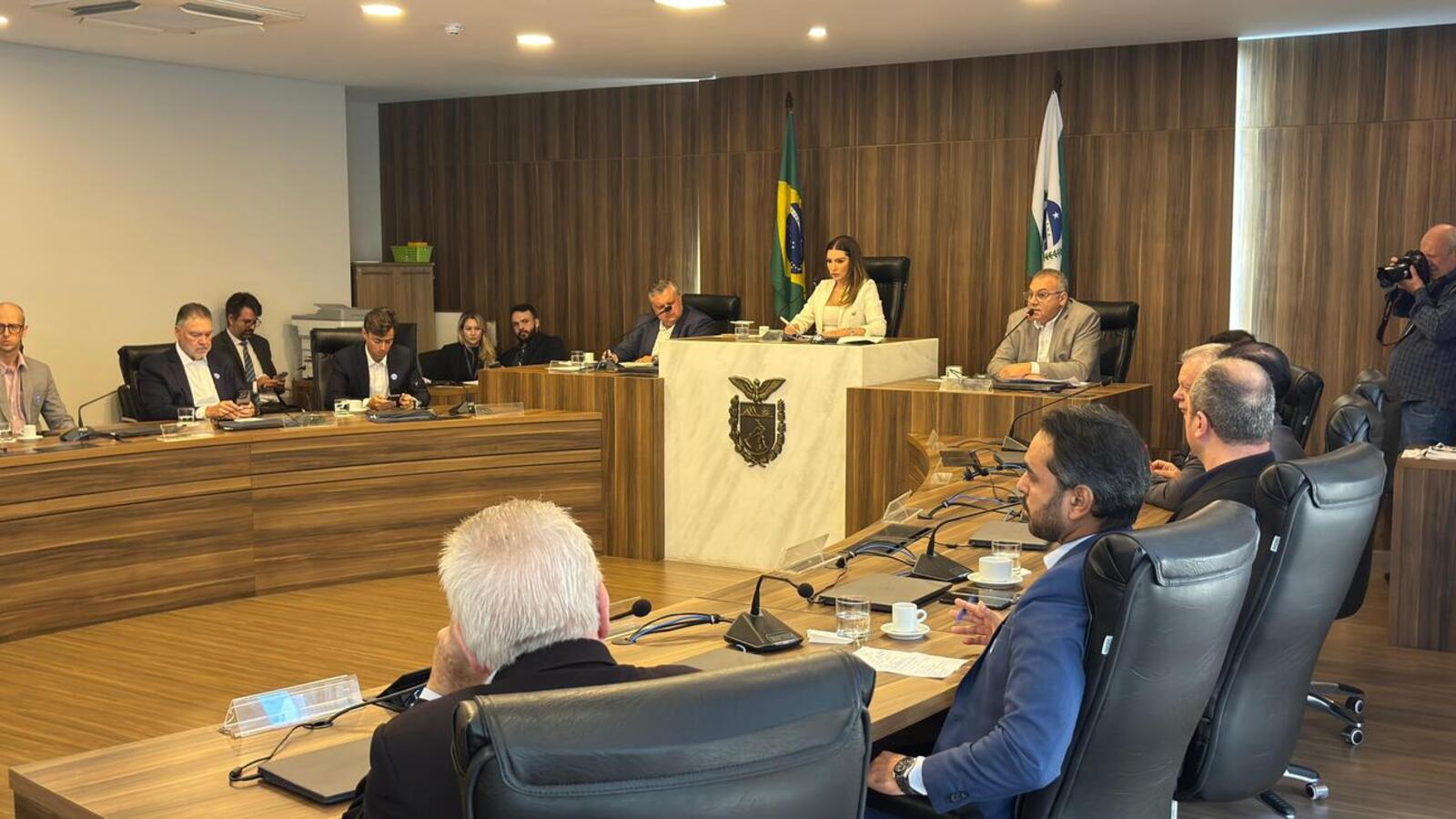 Painel destacou o papel do agronegócio e da produção de proteínas animais na geração de energias renováveis e novas oportunidades econômicas