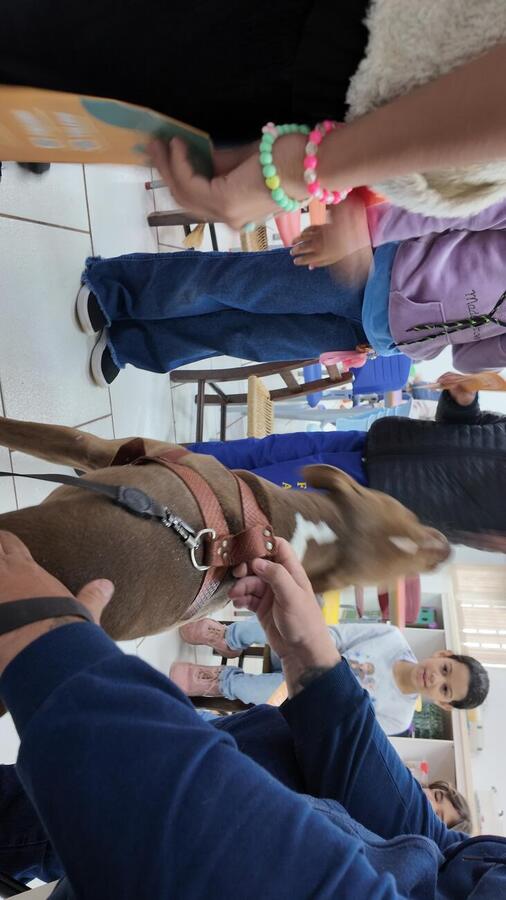 Com participação do Pitbull “Brutinhos”, programa leva conhecimento sobre castração, vacinação e abandono animal para crianças de primeiro a quinto ano