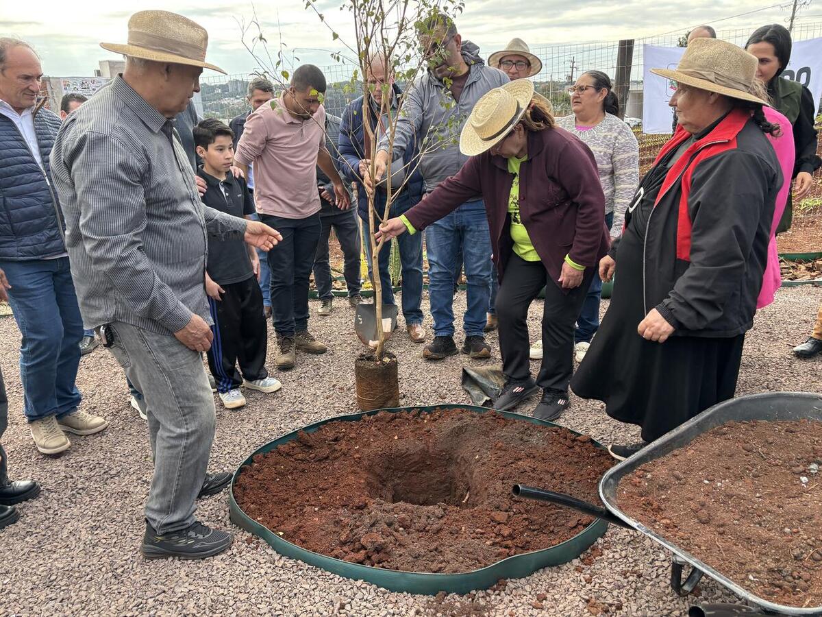 Projeto da Secretaria de Agricultura e Proteína Animal ocupa área pública de 2.200 m² e inicia atividades com três famílias