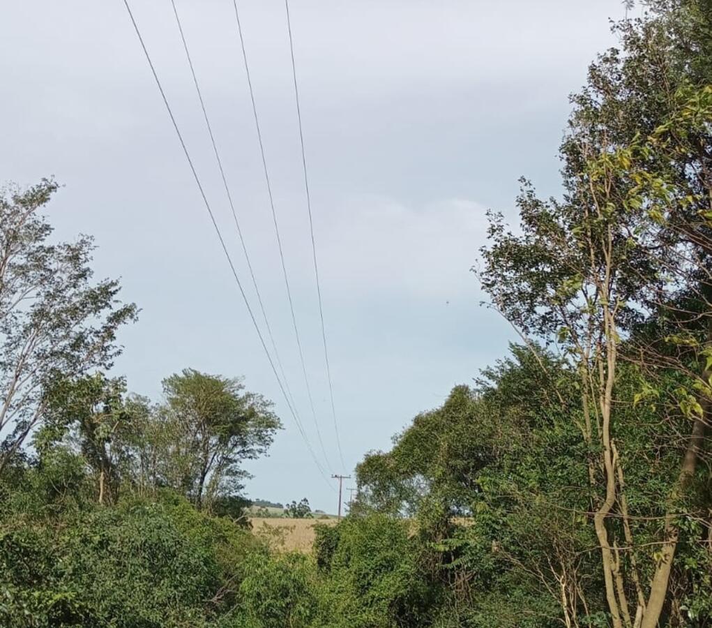 Ação ocorreu em São Miguel. Objetivo é manter a linha de transmissão livre de galhos e árvores para reduzir o risco de interrupção