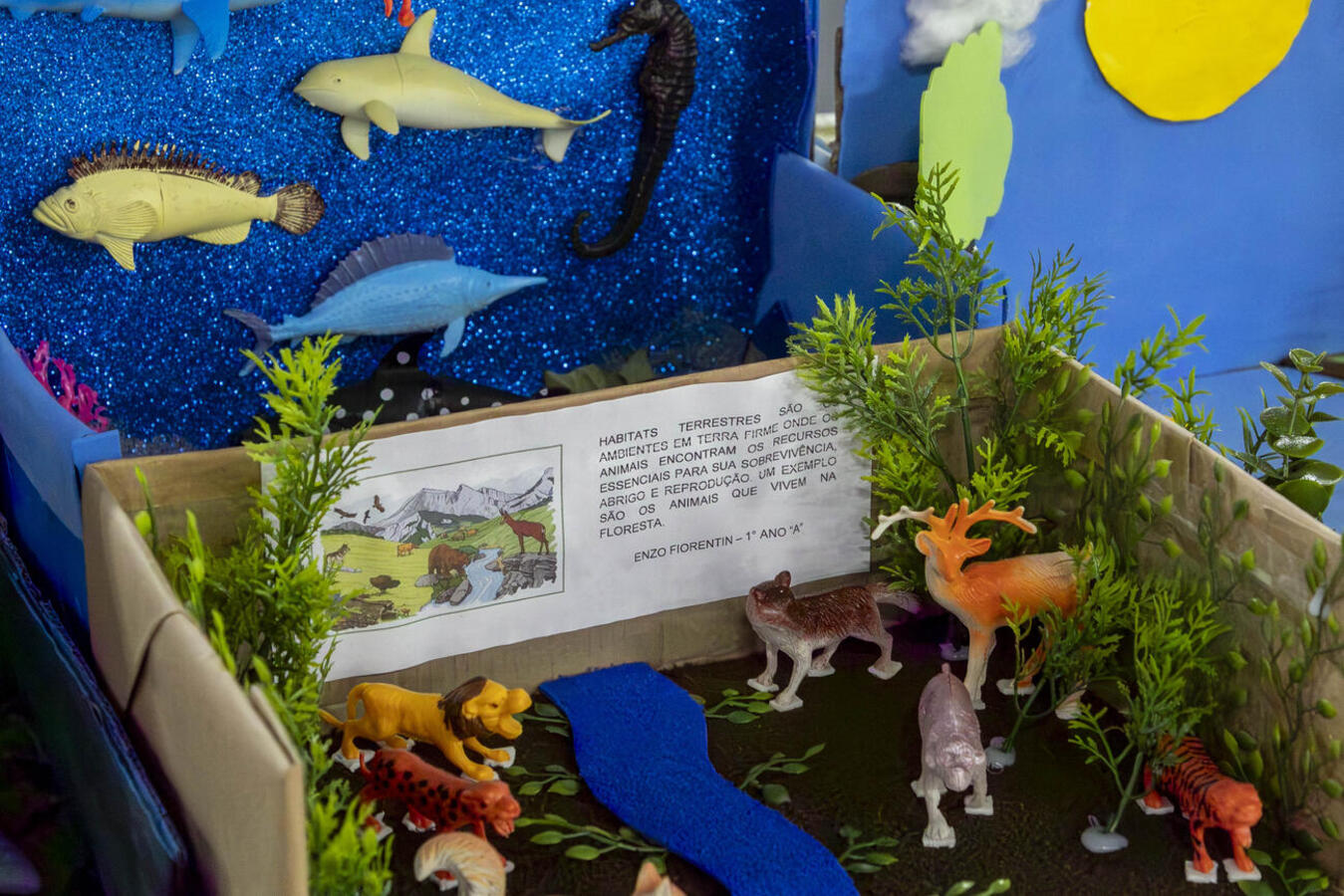 Exposição integra a programação do Junho Verde e apresenta atividades desenvolvidas por alunos do Infantil 4 ao 5º ano do Ensino Fundamental