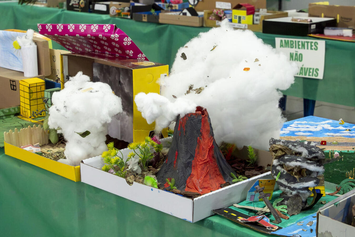 Exposição integra a programação do Junho Verde e apresenta atividades desenvolvidas por alunos do Infantil 4 ao 5º ano do Ensino Fundamental