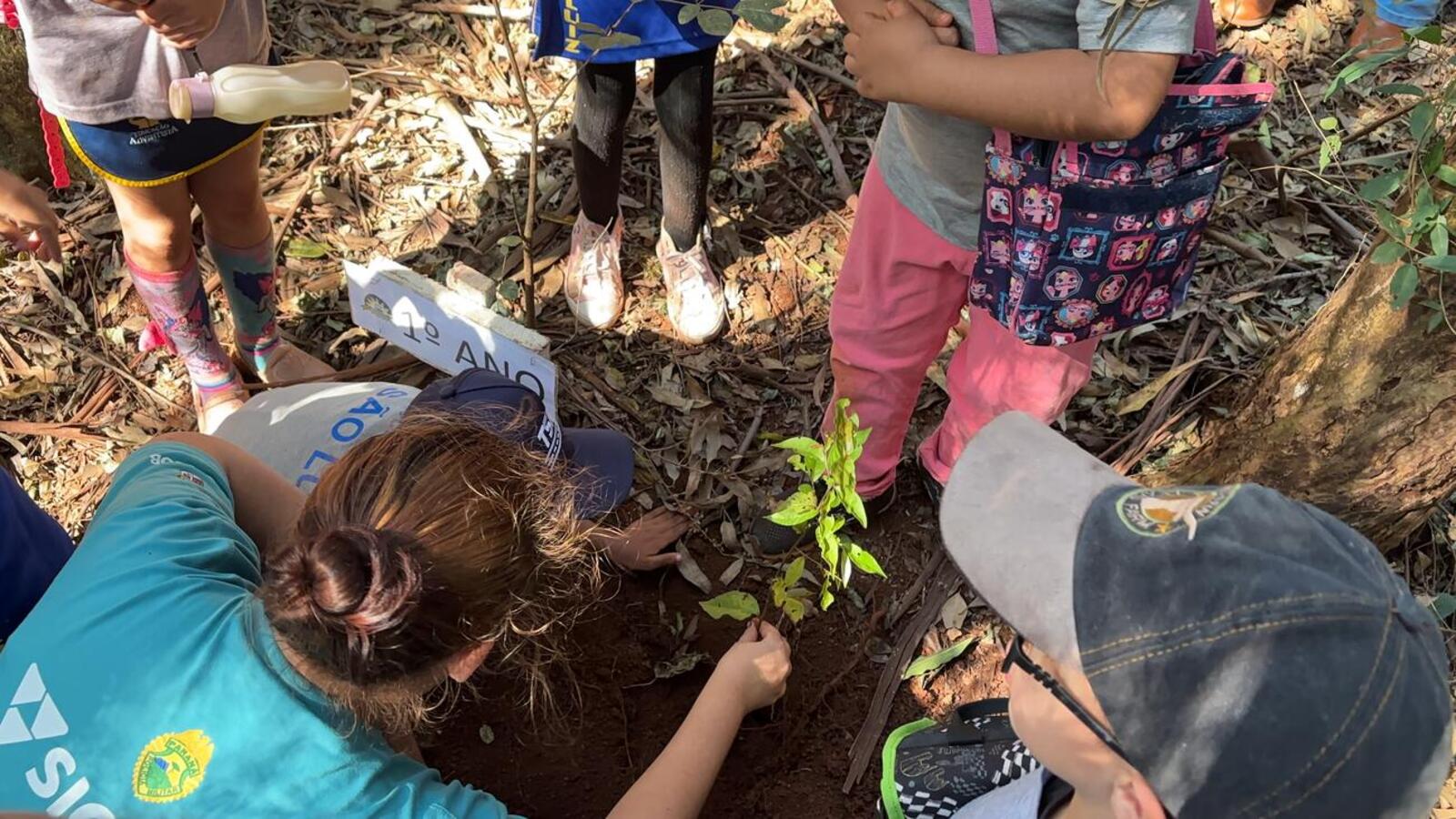 Cerca de 89 alunos participaram de percurso de 7 quilômetros, plantio de 23 mudas, trilha e ações de conscientização ambiental