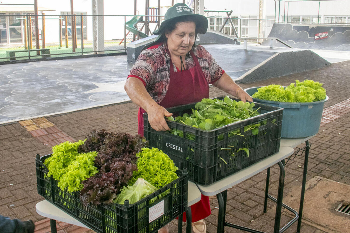 Integrantes do projeto comercializaram verduras e legumes para moradores da região do Santa Clara IV em ação realizada na manhã desta quarta (5) no Cras V