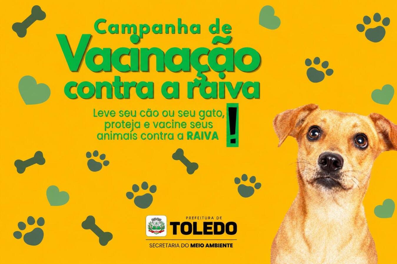 Ação da SMMA em parceria com Unipar e PUCPR ocorrerá no dia 15, no Parque Diva Paim Barth, a partir das 9h; até 500 doses do imunizante serão aplicadas