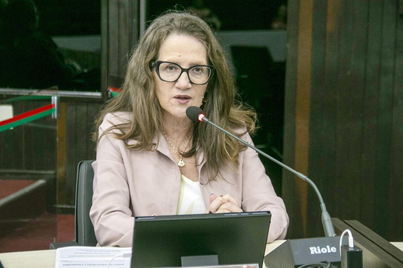 Dados sobre ações e gestão de recursos da Secretaria Municipal da Educação foram explanados em audiência pública nesta sexta (25) na Câmara de Vereadores