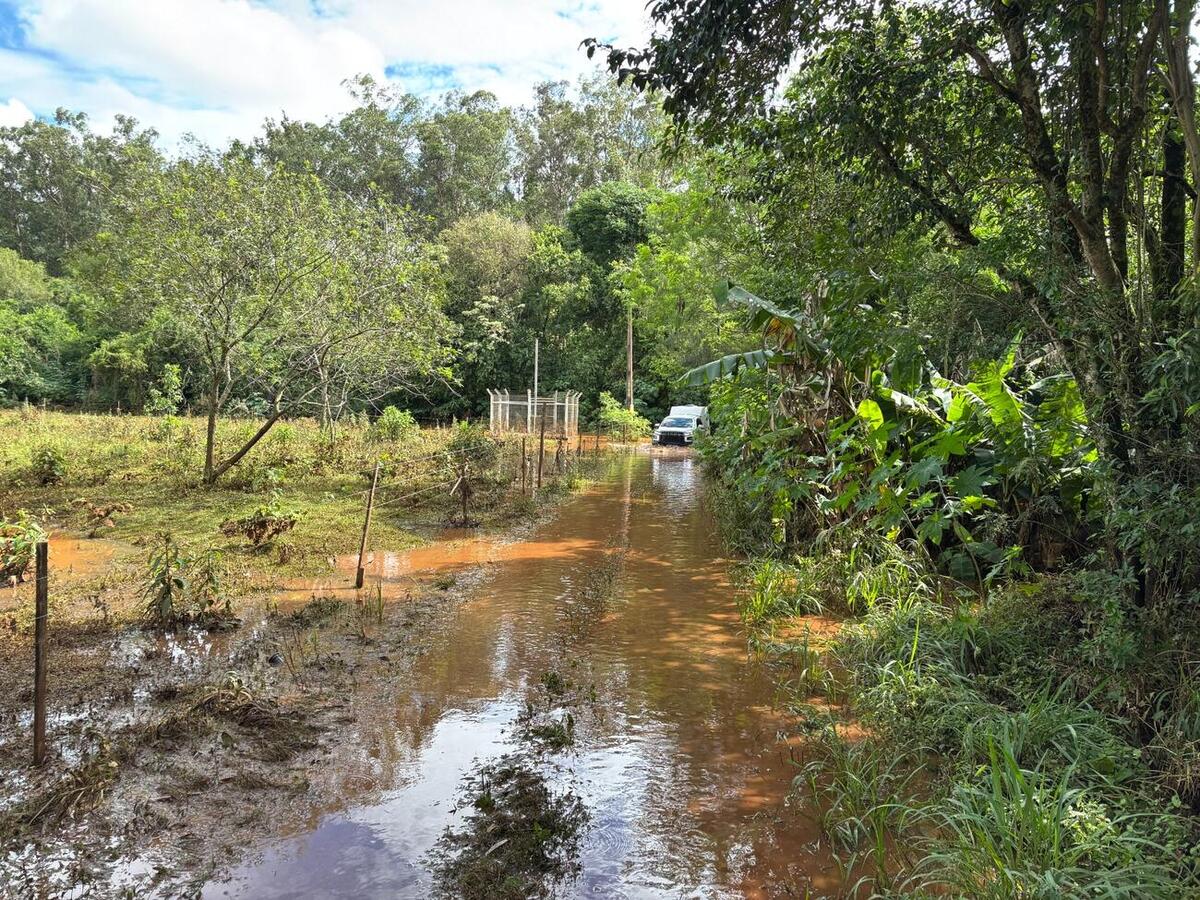 CRAS Itinerante realizou cadastro de famílias na área rural, enquanto técnicos da Proteção Animal verificaram as condições dos cães e entregaram ração
