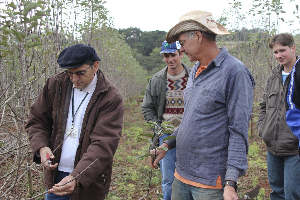 PROGRAMA DE PRODUÇÃO DE MAÇÃ E UVA PARA SUCO. 