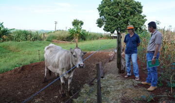 Para o produtor Laurindo Welter (65), fornecer para o município é sinônimo de segurança. “É pagamento certo”