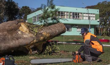 Ato está marcado para a próxima quarta (19), às 10h, na Praça da Cultura, local que recebeu obras confeccionadas pelo escultor, que faleceu em dezembro de 2024