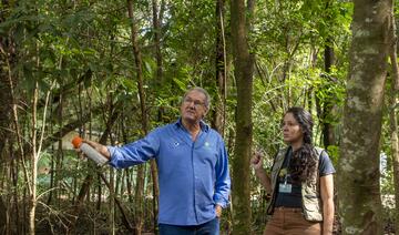 Após ação em parceria com o Instituto Água e Terra (IAT), serão removidas as espécies para recuperação da flora nativa