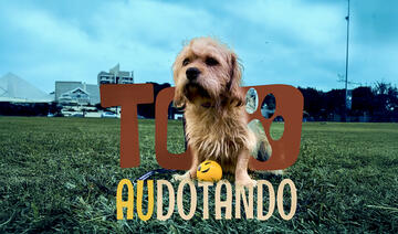 Neste domingo (4) será realizado um evento voltado a adoção responsável de animais resgatados ou abandonados