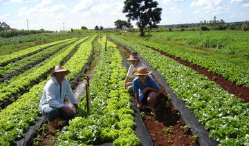 Durante os dias 24 a 31 de julho a Secretaria da Agricultura e Proteína Animal estará realizando a Semana do Agricultor, um evento repleto de atividades para todos os públicos