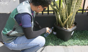 Município segue com ações preventivas, vistorias e uso de ovitrampas para identificar áreas com maior risco de infestação do Aedes aegypti