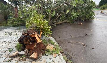 Vento forte e chuva intensa derrubaram árvores em vários bairros da cidade e deixaram muitos pontos sem energia ainda na manhã deste domingo